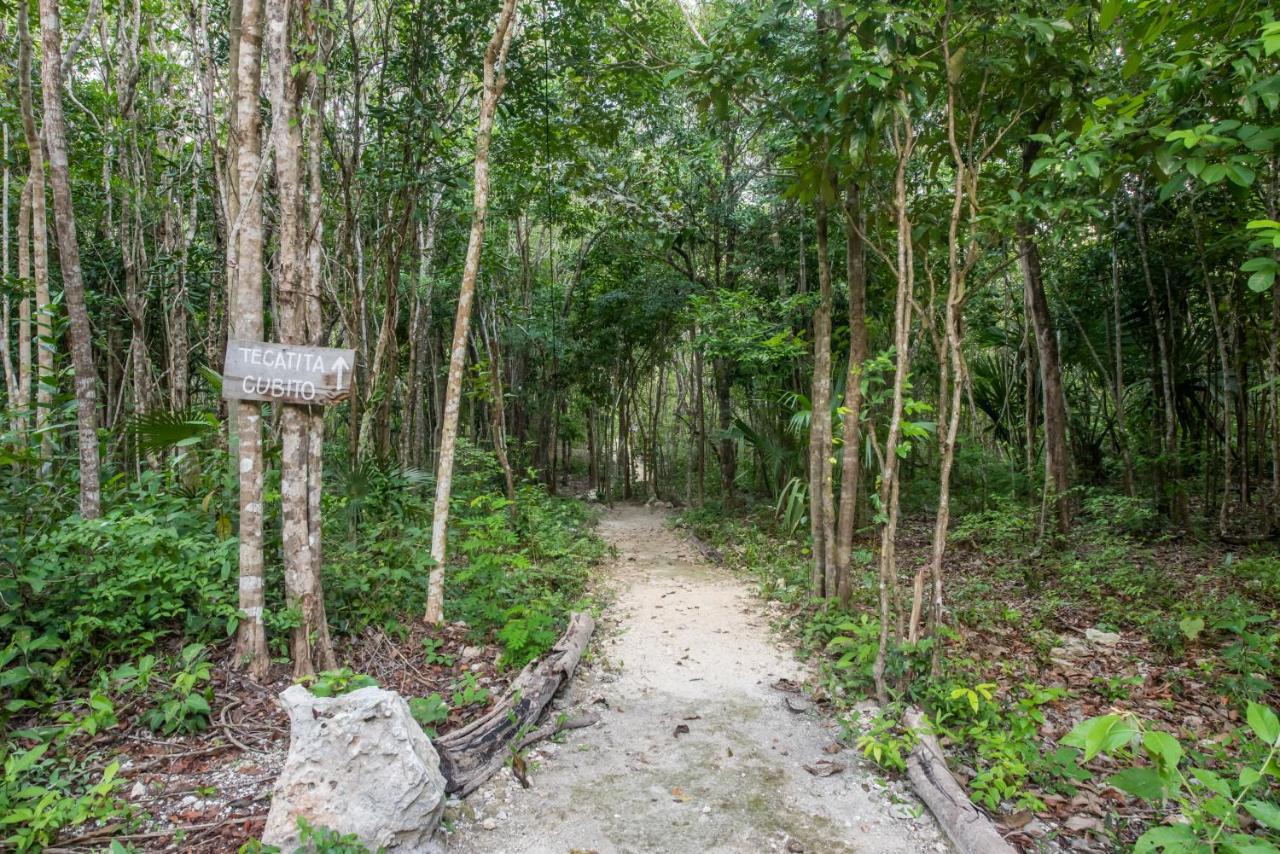 Casa Costal - Glamping Experience Hotel Puerto Morelos Exterior photo